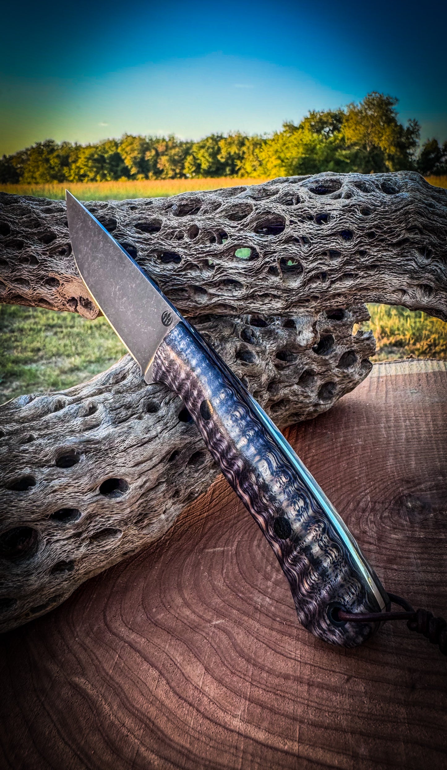 Whitetail Hunter