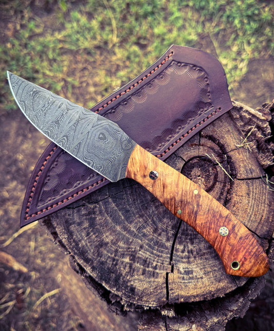 "Hidden Oaks" Damascus